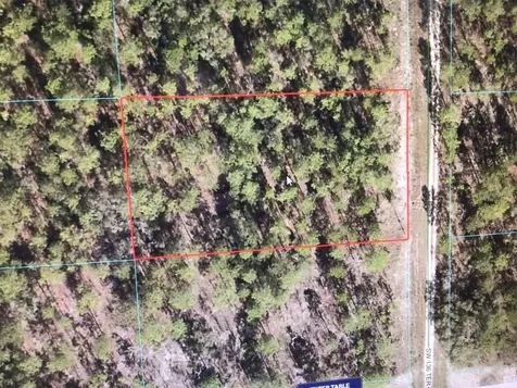 0 SW 136 Terrace Dunnellon FL 34432