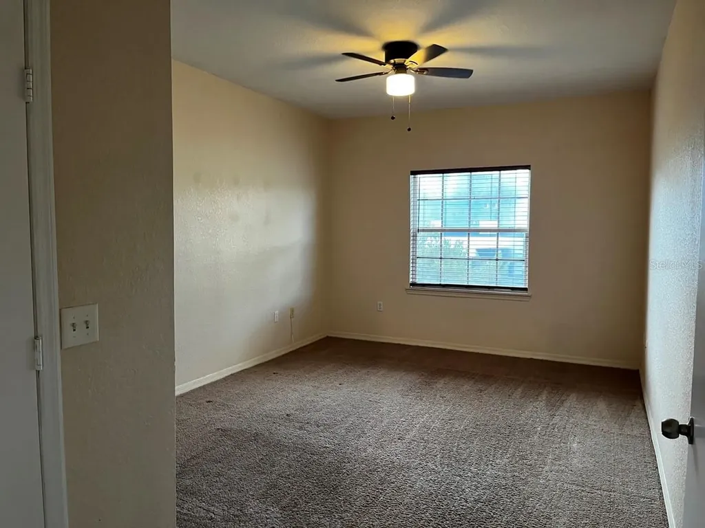 14905 Arbor Springs Circle Tampa FL 33624