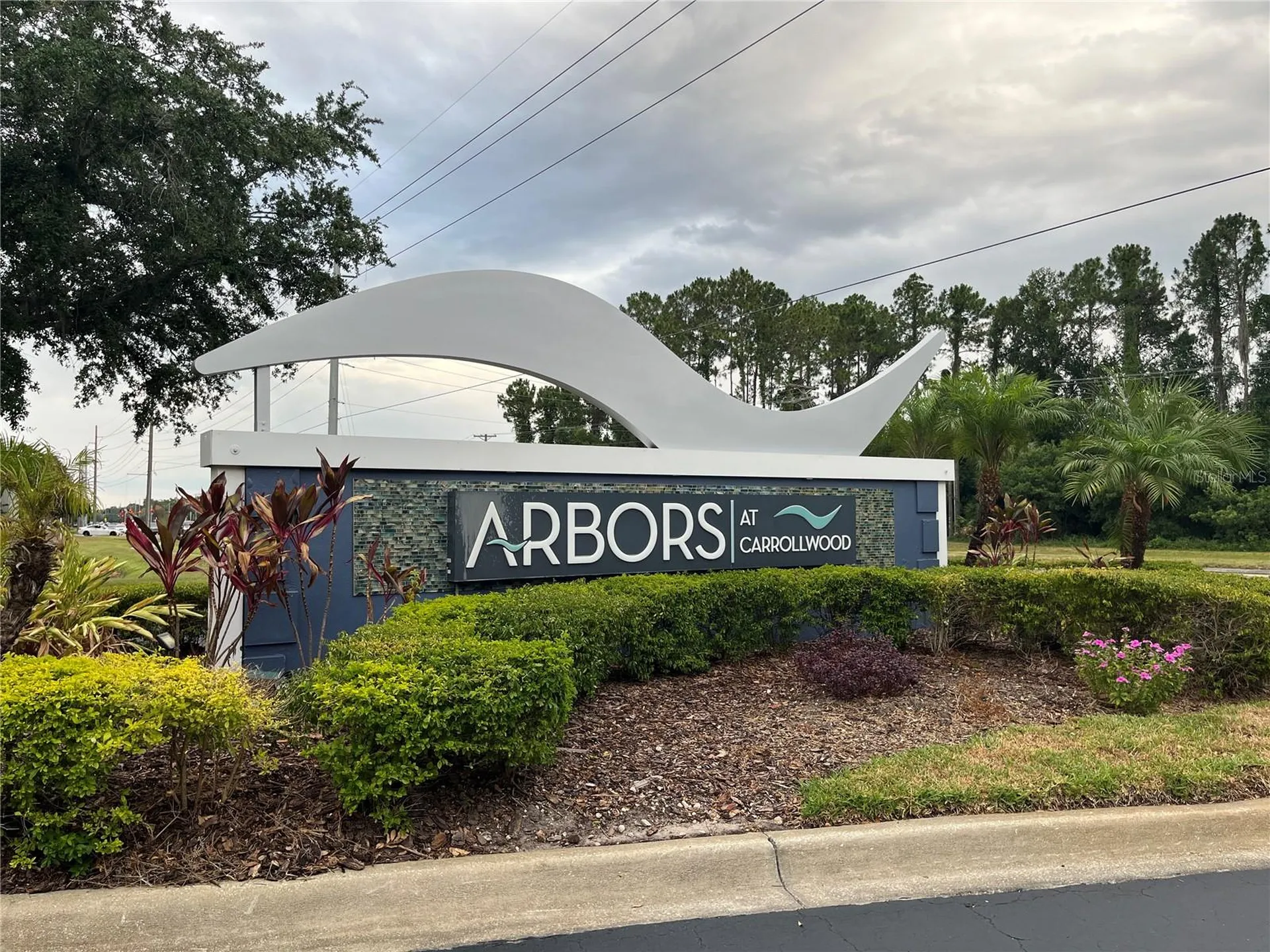 14905 Arbor Springs Circle Tampa FL 33624