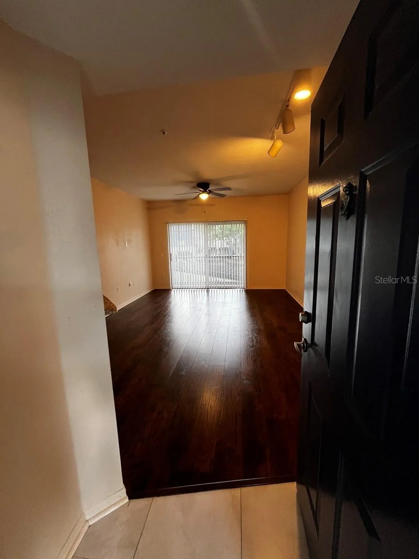 14905 Arbor Springs Circle Tampa FL 33624