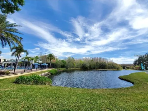 14905 Arbor Springs Circle Tampa FL 33624