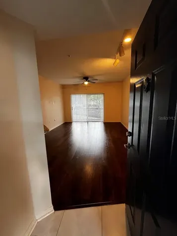 14905 Arbor Springs Circle Tampa FL 33624
