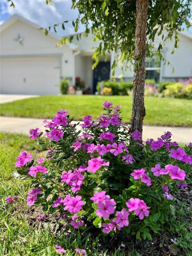 7 Polermo Avenue St Cloud FL 34771