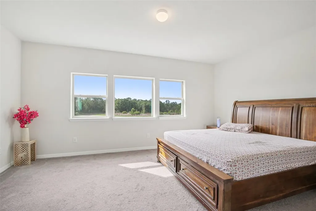 11032 Sundrift Drive Tampa FL 33647