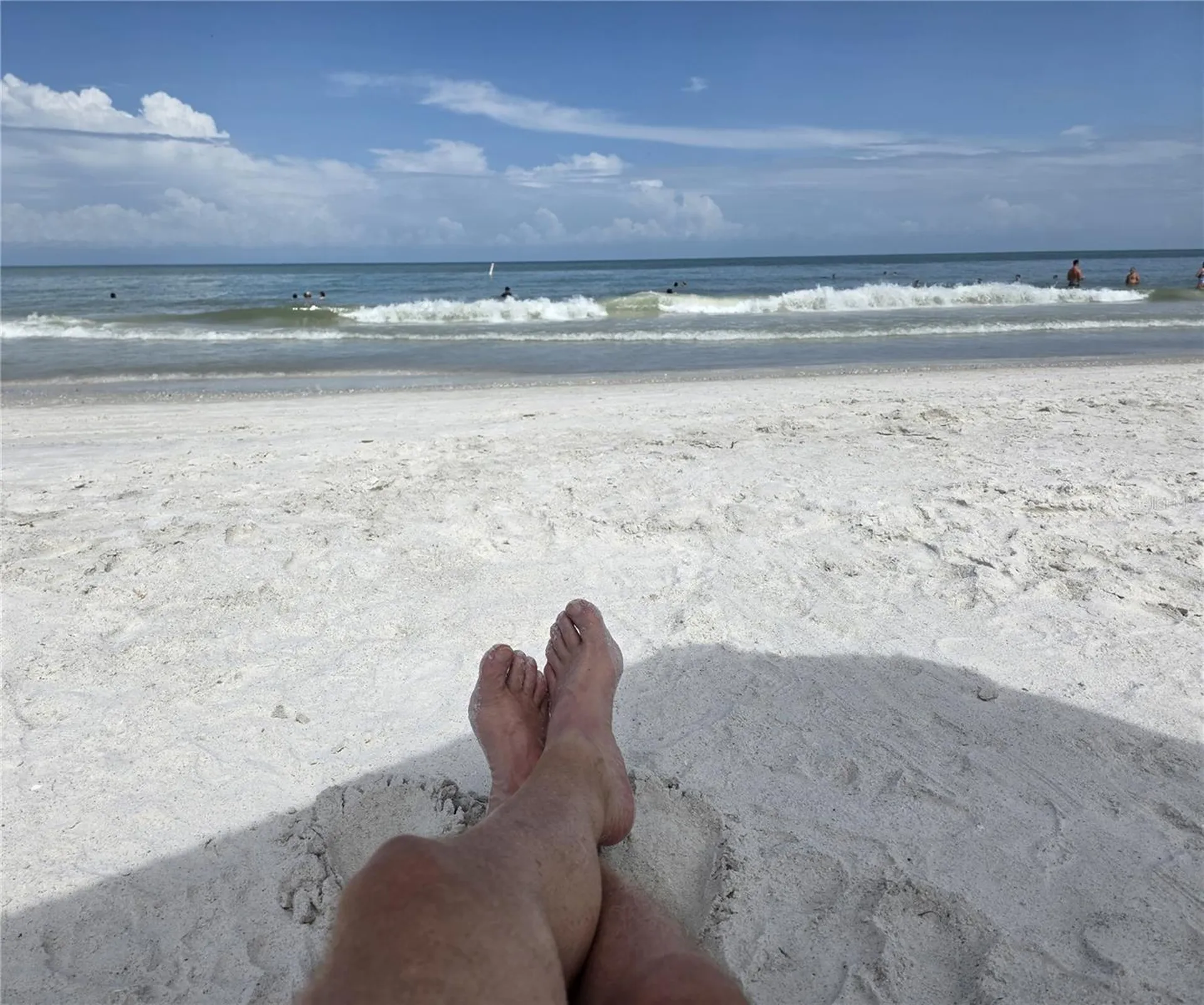 3025 Sheppards Crook Court Holiday FL 34691