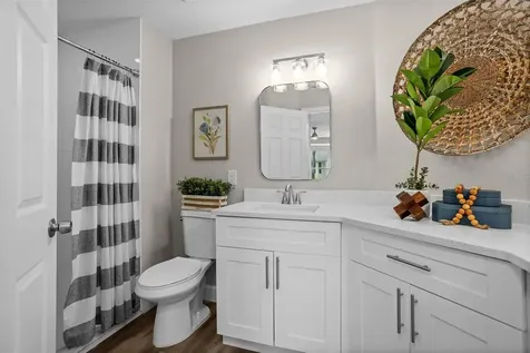 1046 Almondwood Drive Trinity FL 34655