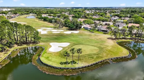 1046 Almondwood Drive Trinity FL 34655