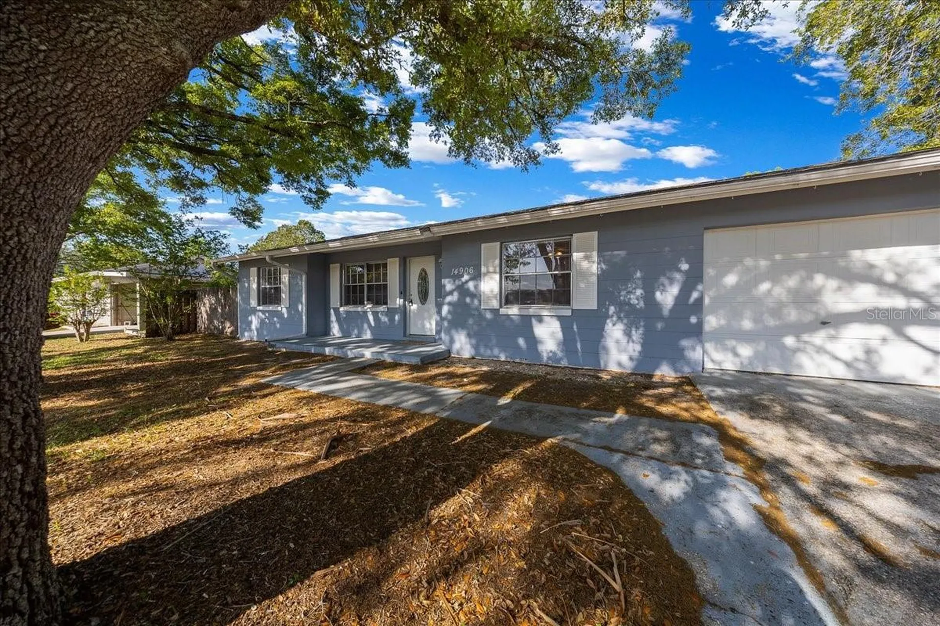 14906 SW 38th Circle Ocala FL 34473