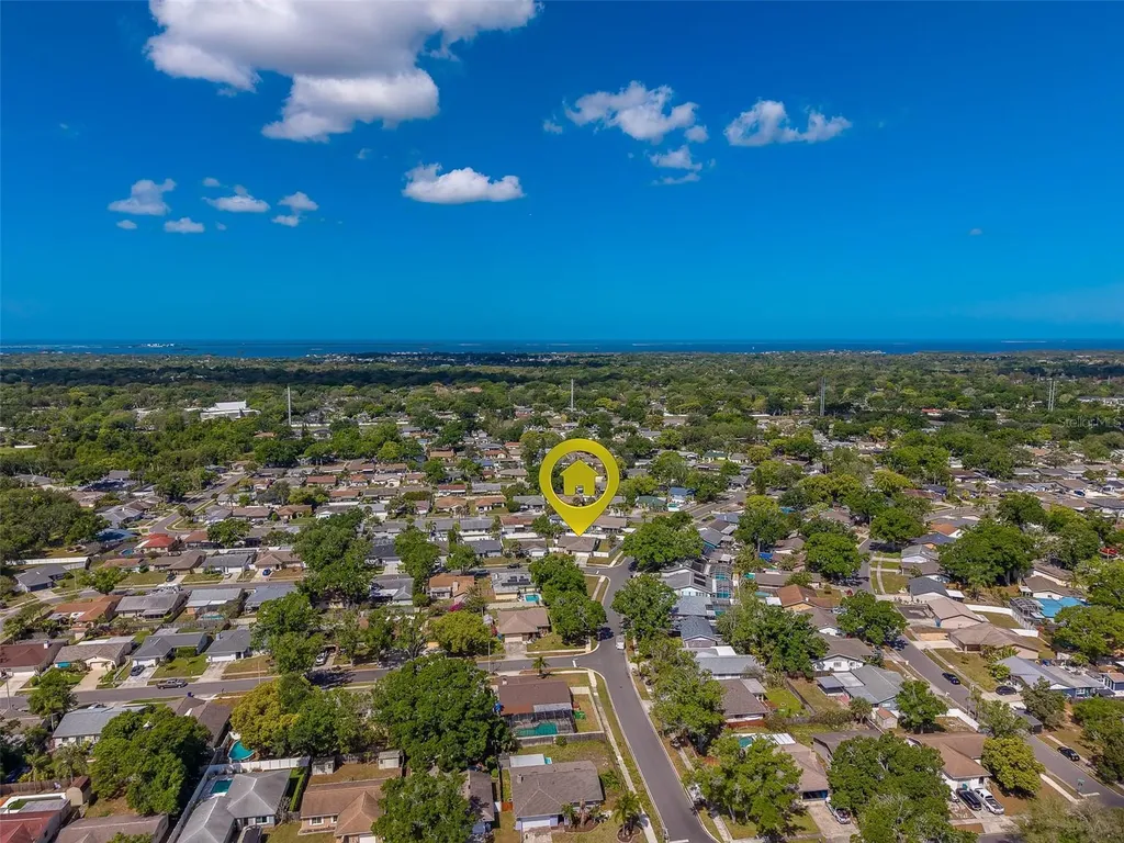 1603 W Orangecrest Avenue Palm Harbor FL 34683