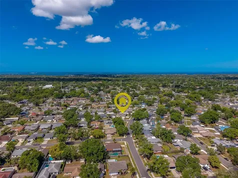 1603 W Orangecrest Avenue Palm Harbor FL 34683