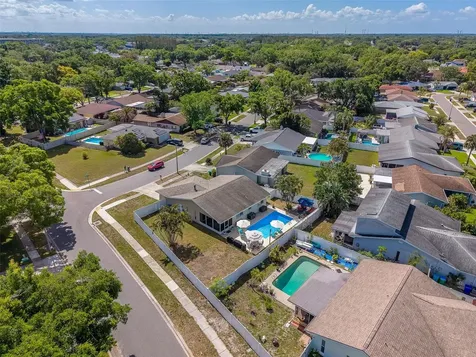 1603 W Orangecrest Avenue Palm Harbor FL 34683