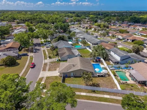 1603 W Orangecrest Avenue Palm Harbor FL 34683