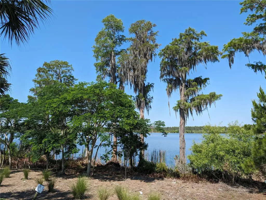 8320 Bryce Canyon Avenue Windermere FL 34786