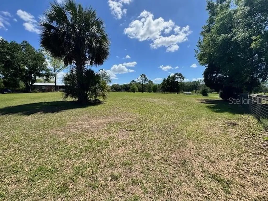 19231 NW Highway 335 Williston FL 32696