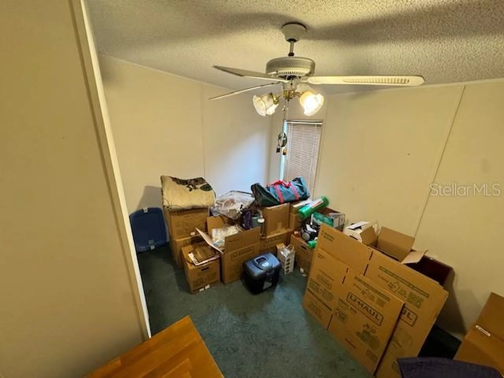 19231 NW Highway 335 Williston FL 32696