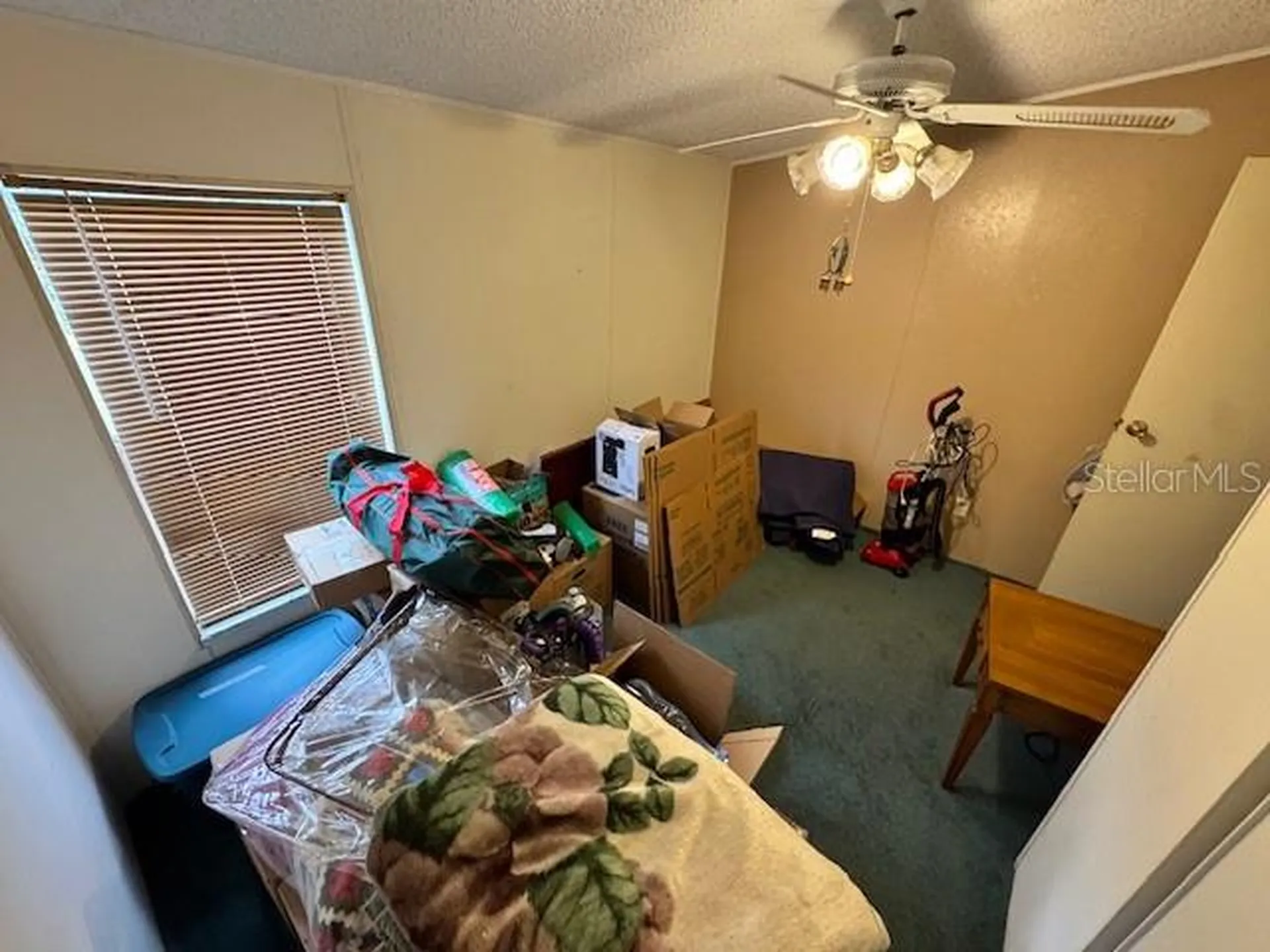 19231 NW Highway 335 Williston FL 32696