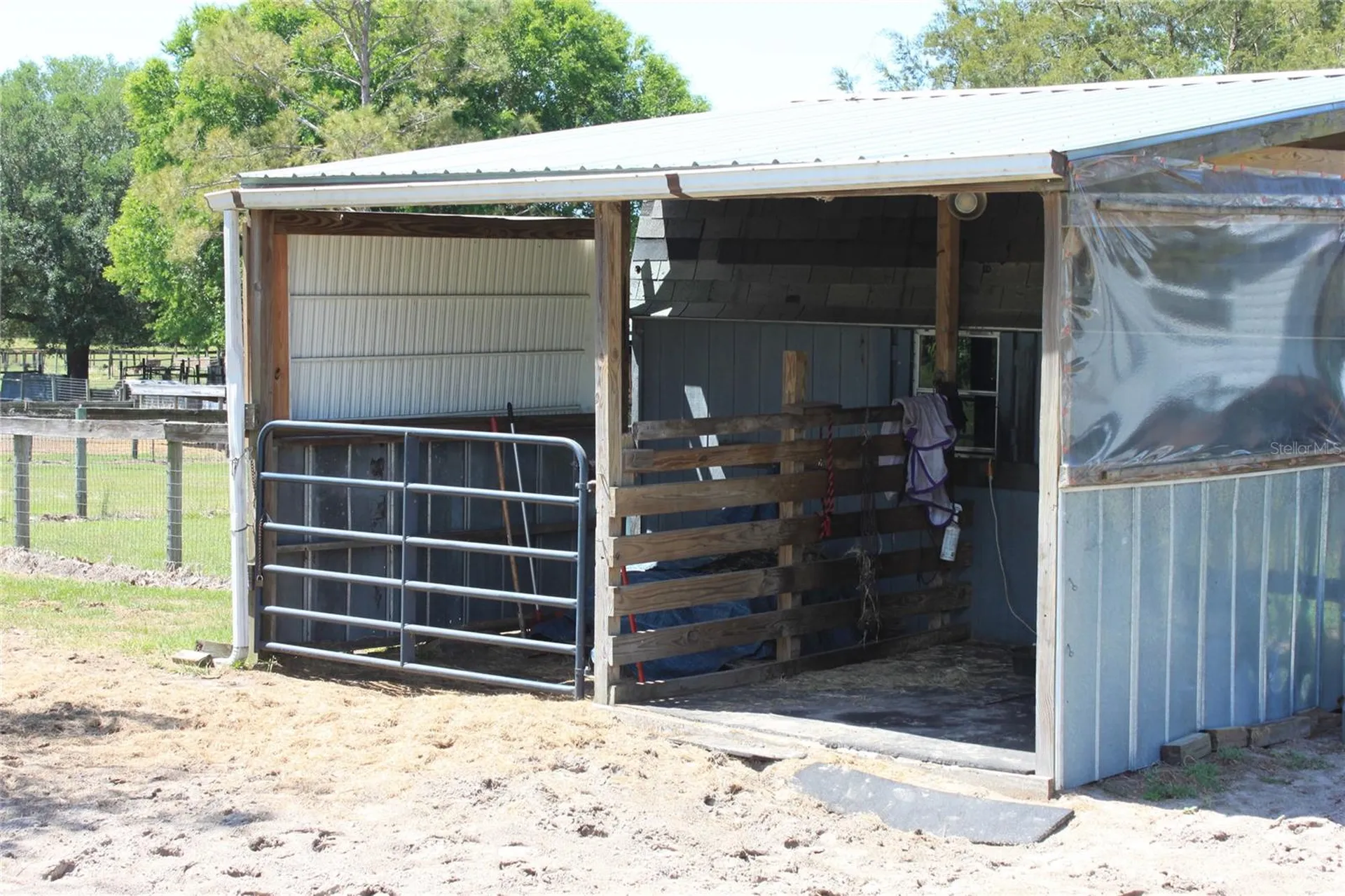 19231 NW Highway 335 Williston FL 32696