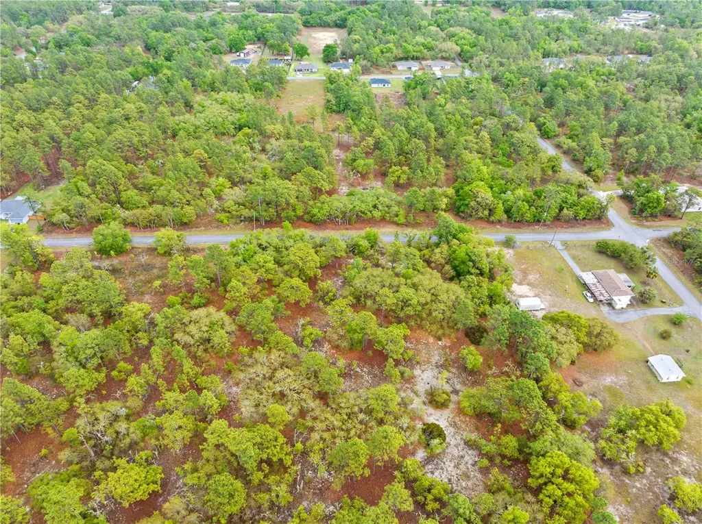 SW 206th Avenue Dunnellon FL 34431