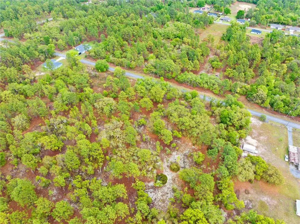SW 206th Avenue Dunnellon FL 34431