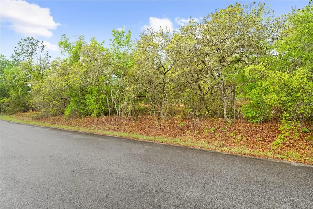 SW 206th Avenue Dunnellon FL 34431