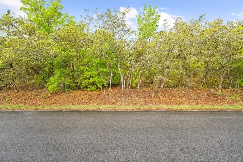 SW 206th Avenue Dunnellon FL 34431