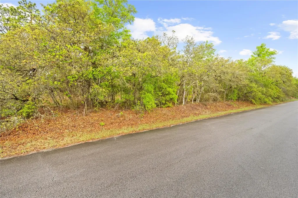 SW 206th Avenue Dunnellon FL 34431