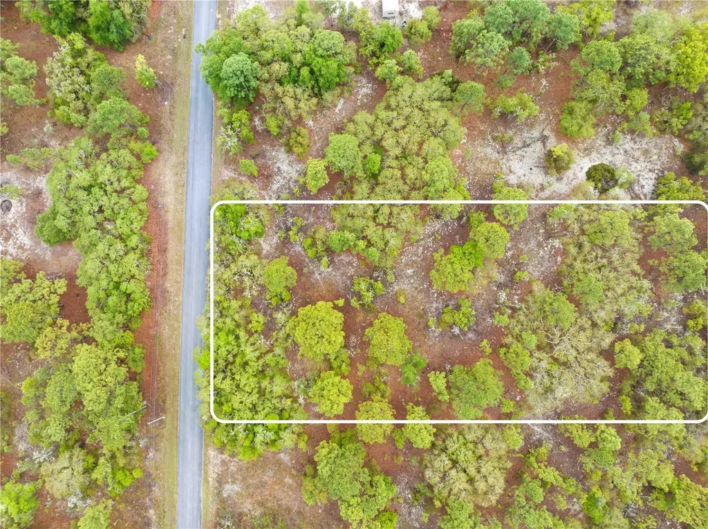 SW 206th Avenue Dunnellon FL 34431