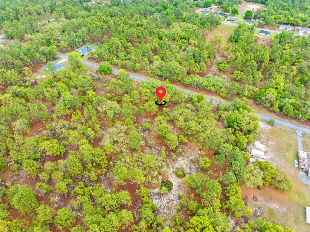 SW 206th Avenue Dunnellon FL 34431