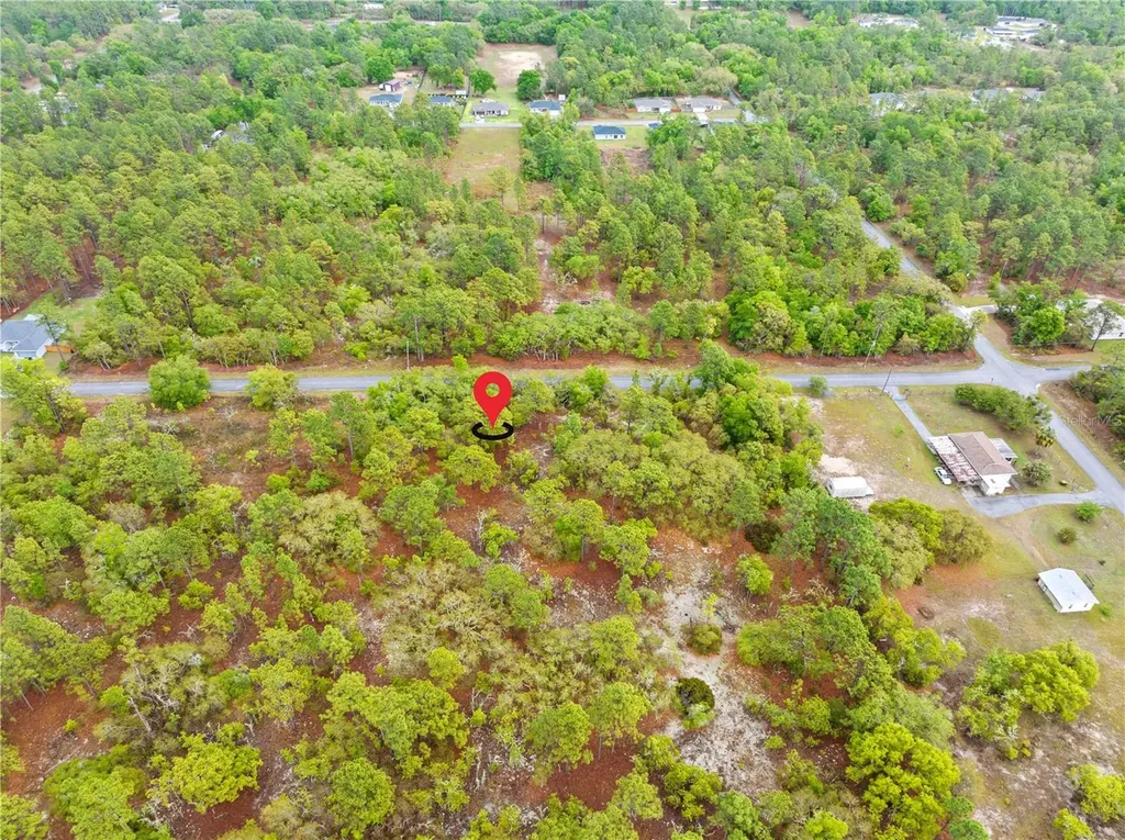 SW 206th Avenue Dunnellon FL 34431