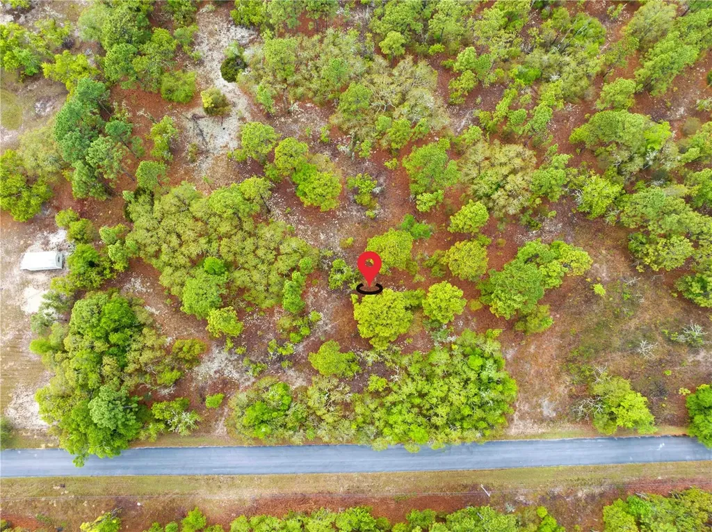 SW 206th Avenue Dunnellon FL 34431