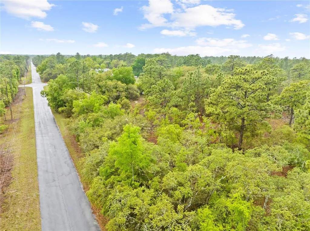 SW 206th Avenue Dunnellon FL 34431