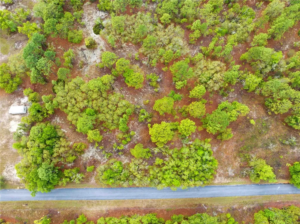 SW 206th Avenue Dunnellon FL 34431