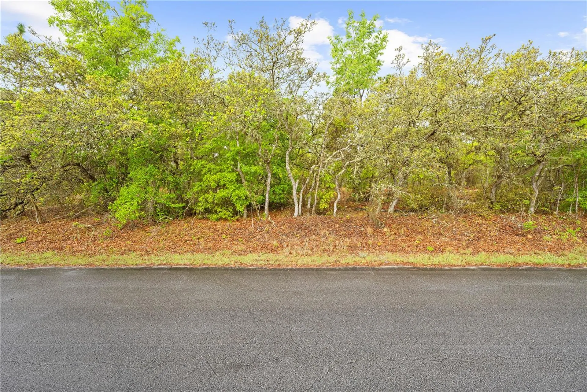 SW 206th Avenue Dunnellon FL 34431