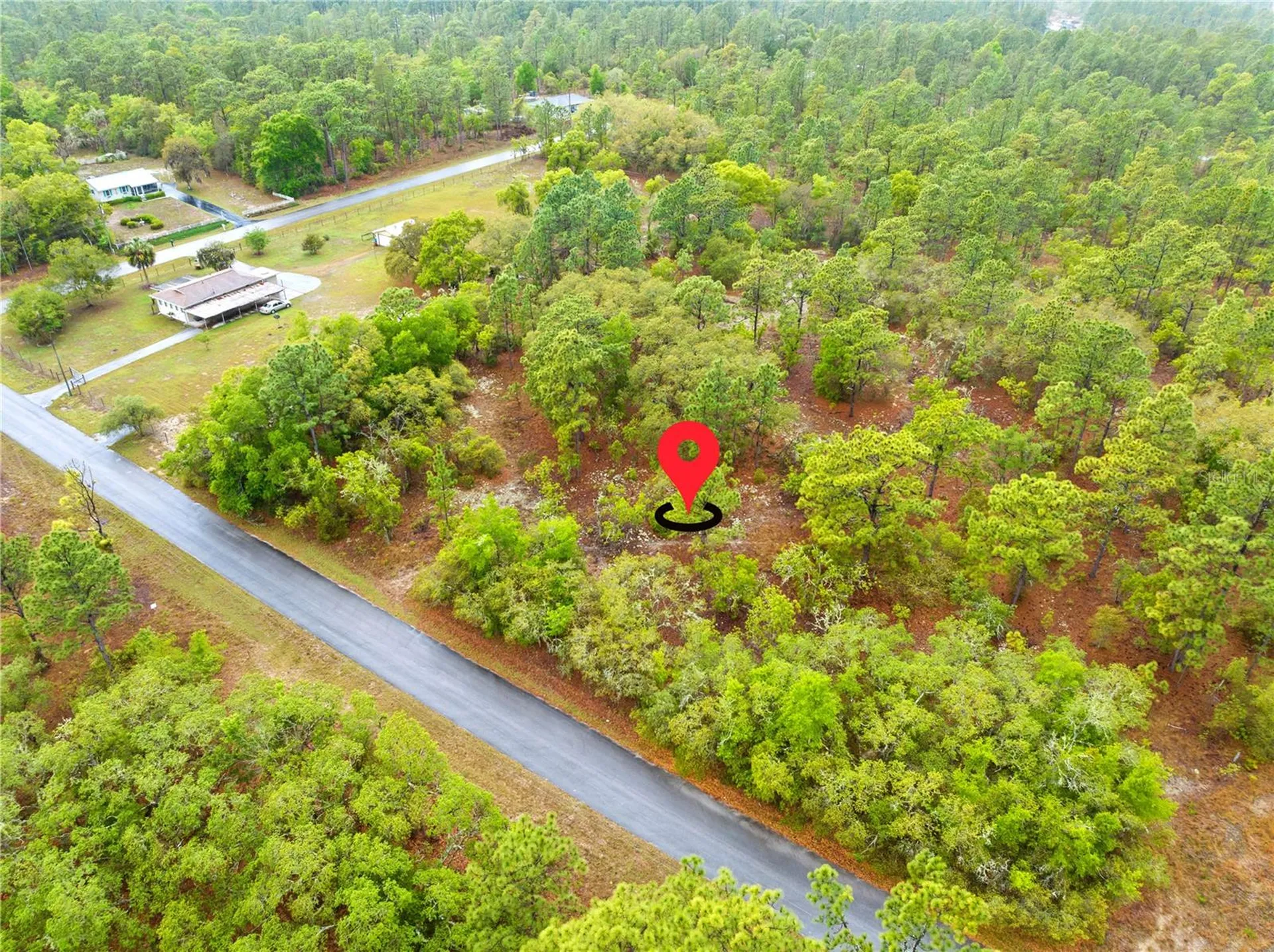 SW 206th Avenue Dunnellon FL 34431