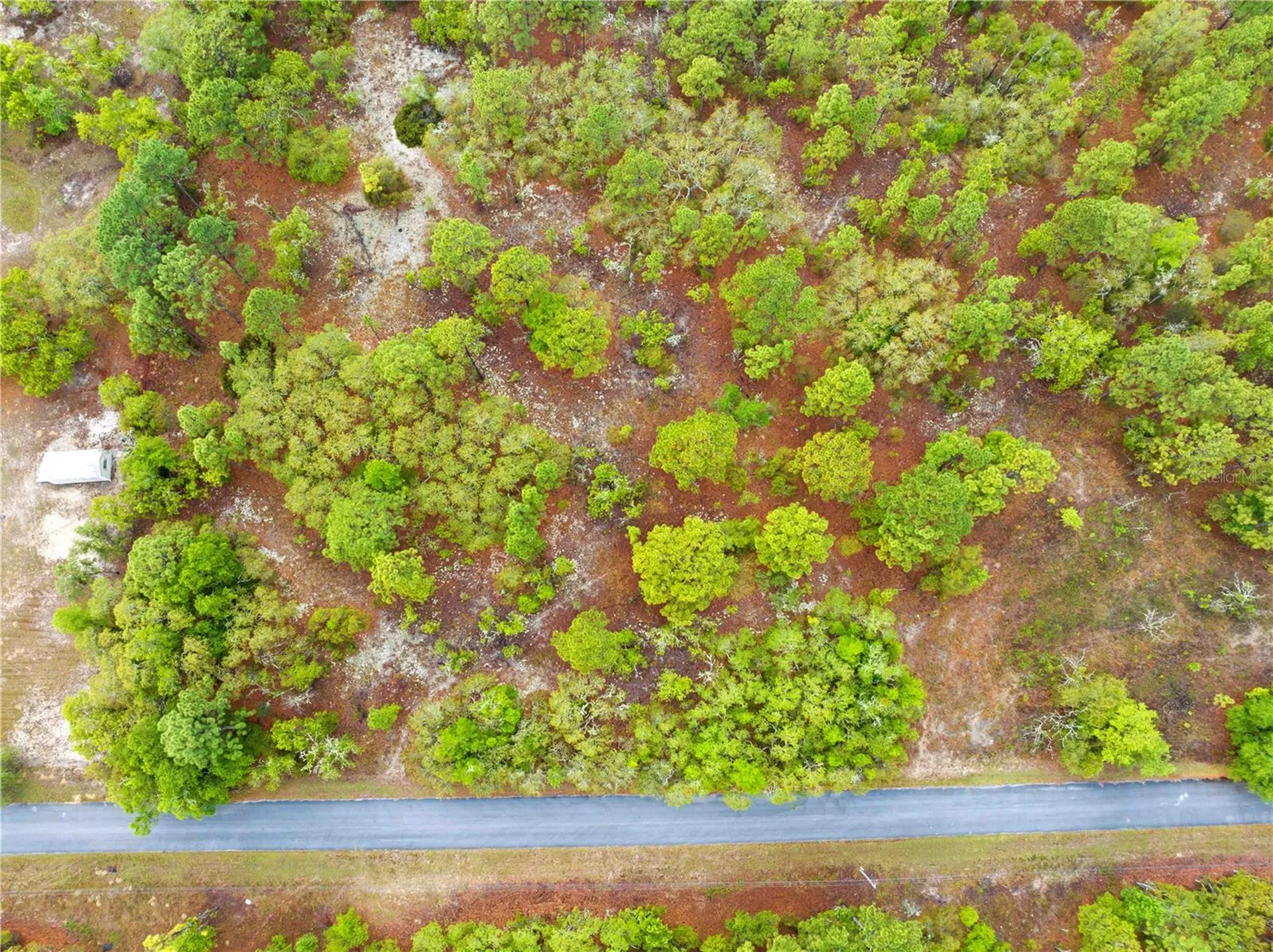 SW 206th Avenue Dunnellon FL 34431