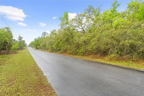 SW 206th Avenue Dunnellon FL 34431