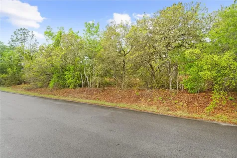 SW 206th Avenue Dunnellon FL 34431
