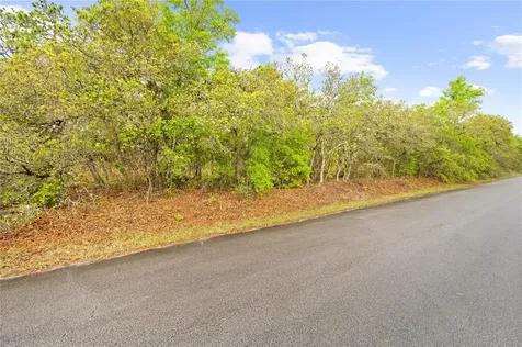 SW 206th Avenue Dunnellon FL 34431