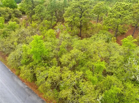 SW 206th Avenue Dunnellon FL 34431