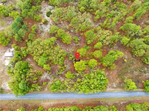 SW 206th Avenue Dunnellon FL 34431