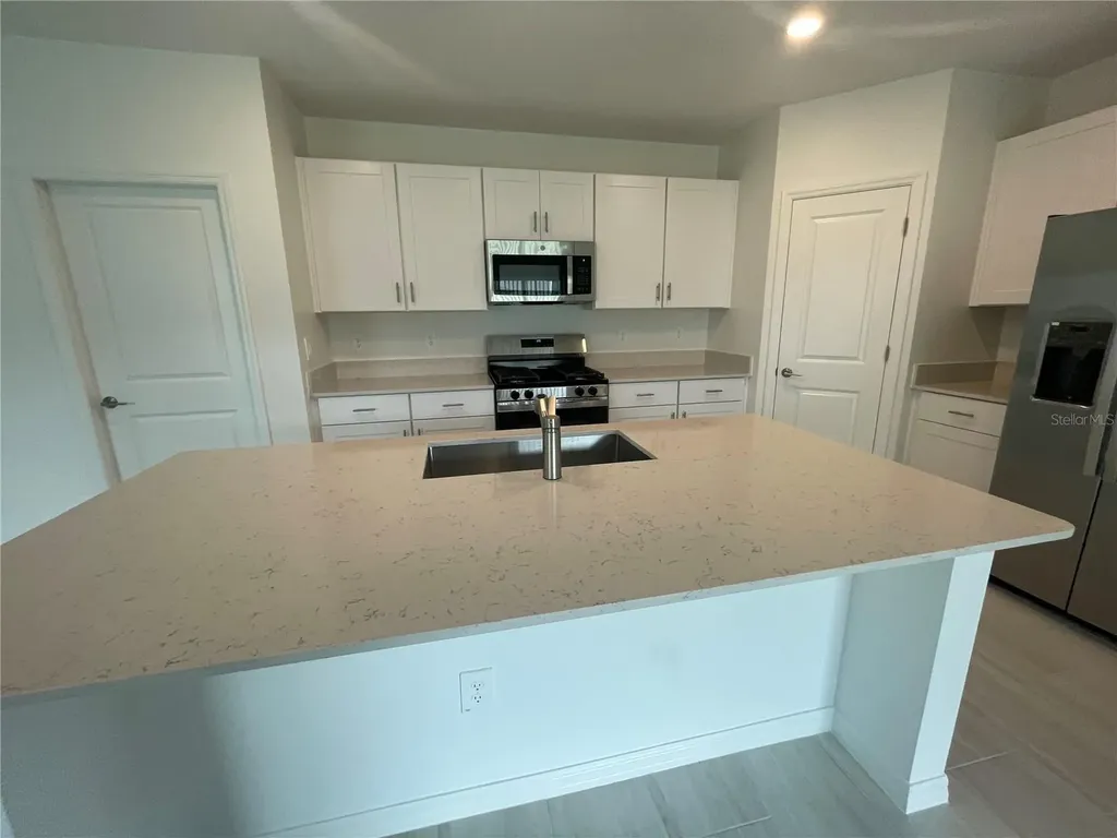 9645 Carabiner Way Land O Lakes FL 34637