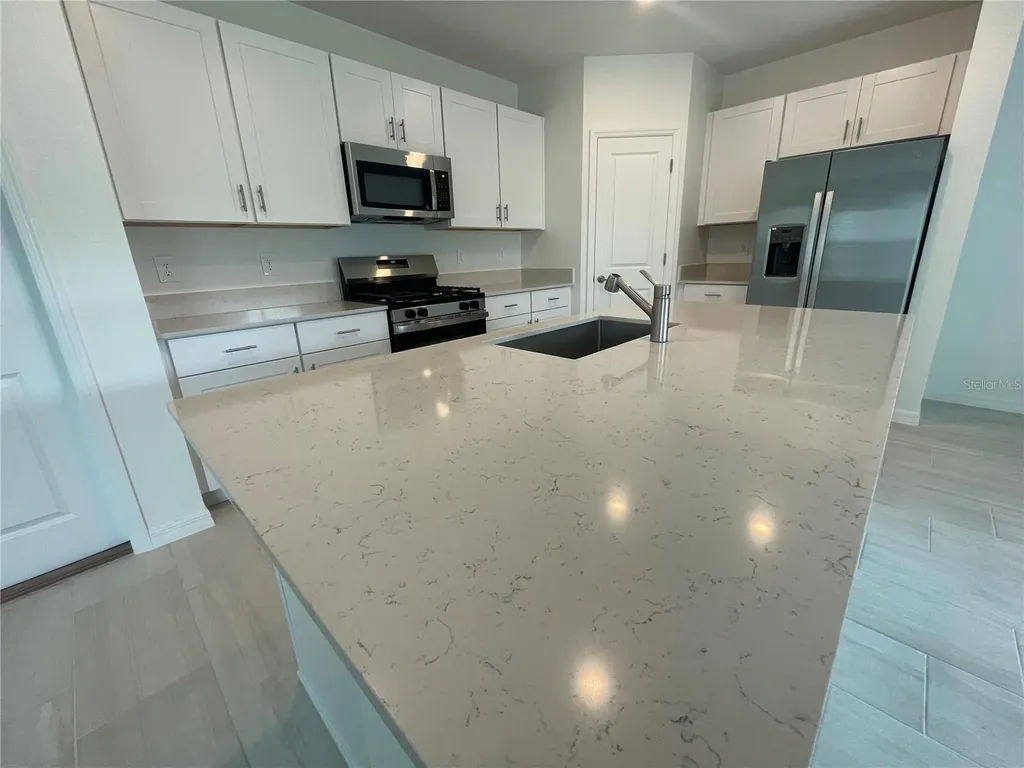 9645 Carabiner Way Land O Lakes FL 34637