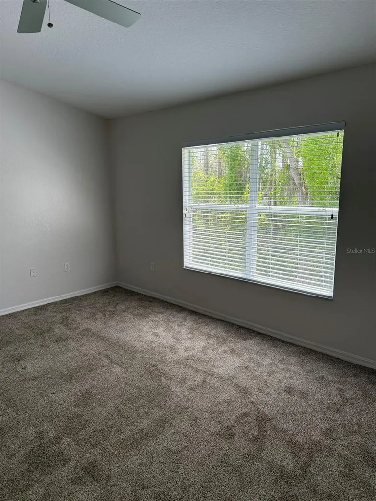 16344 Swan View Circle Odessa FL 33556