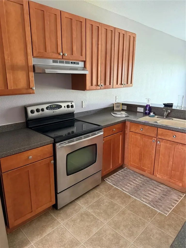 16344 Swan View Circle Odessa FL 33556
