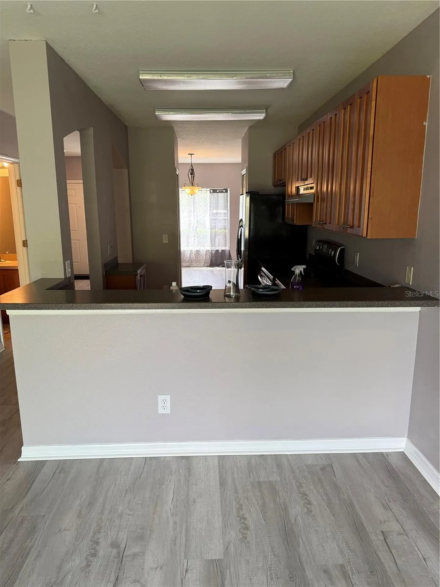 16344 Swan View Circle Odessa FL 33556
