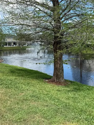 16344 Swan View Circle Odessa FL 33556
