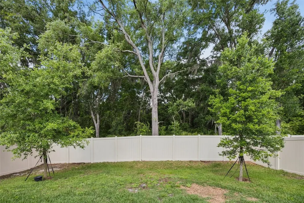 1048 Brooklet Drive Davenport FL 33837