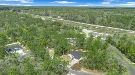 6991 SW 151st Loop Ocala FL 34473