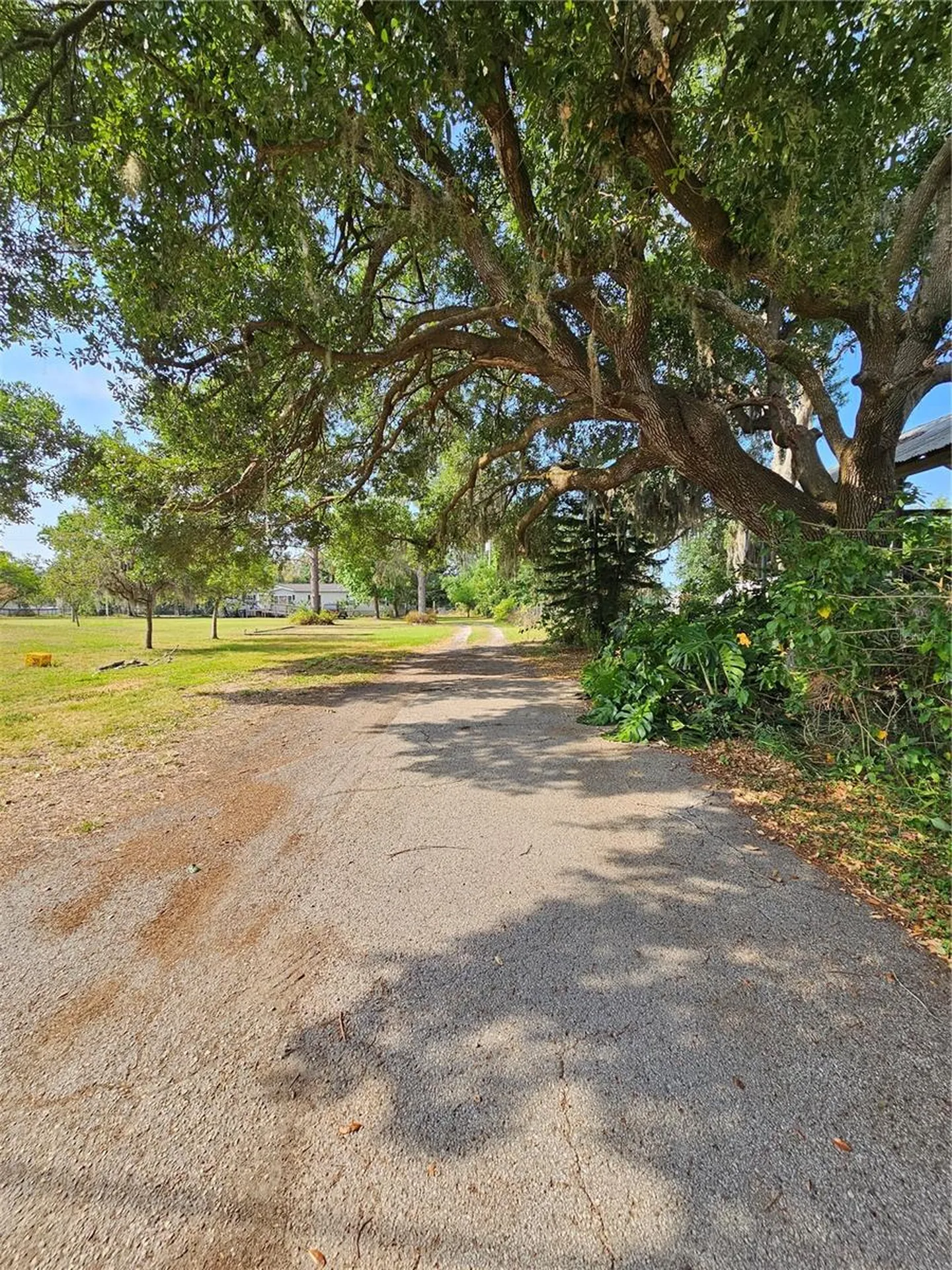 4609 Miley Road Plant City FL 33565