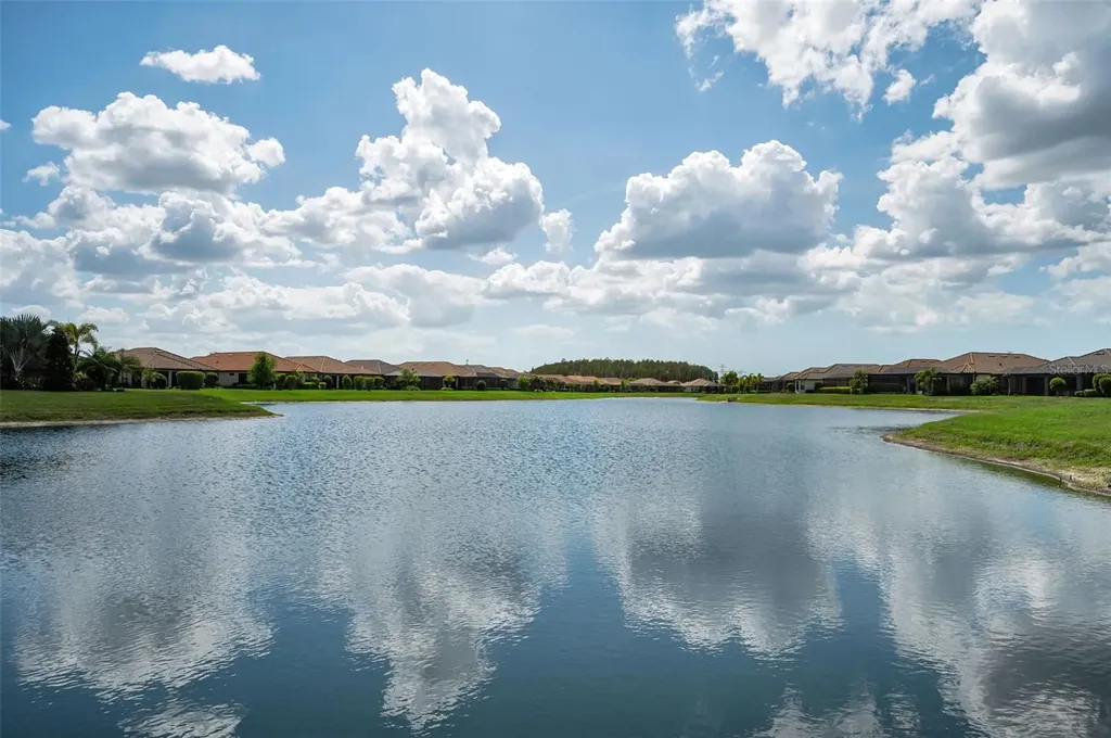 11151 Calluna Drive Odessa FL 33556